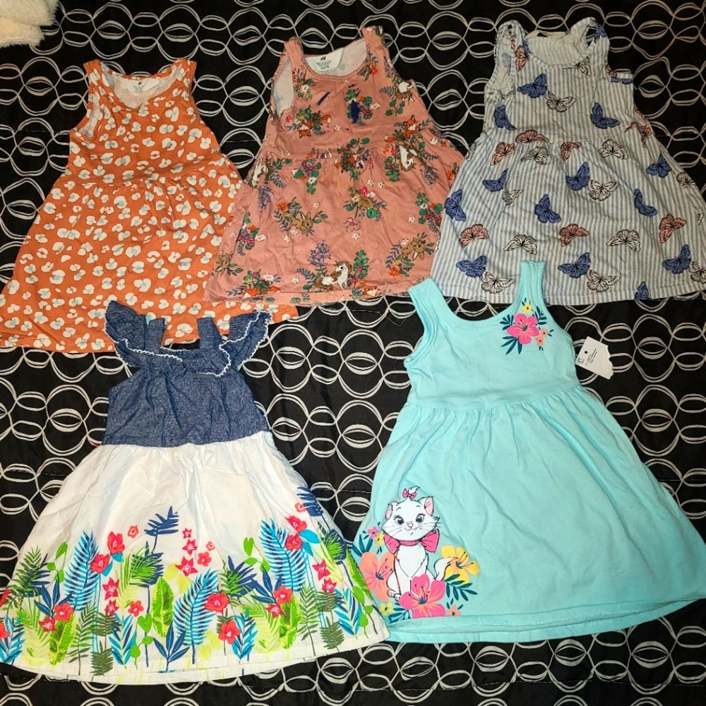 Toddler girl dress bundle